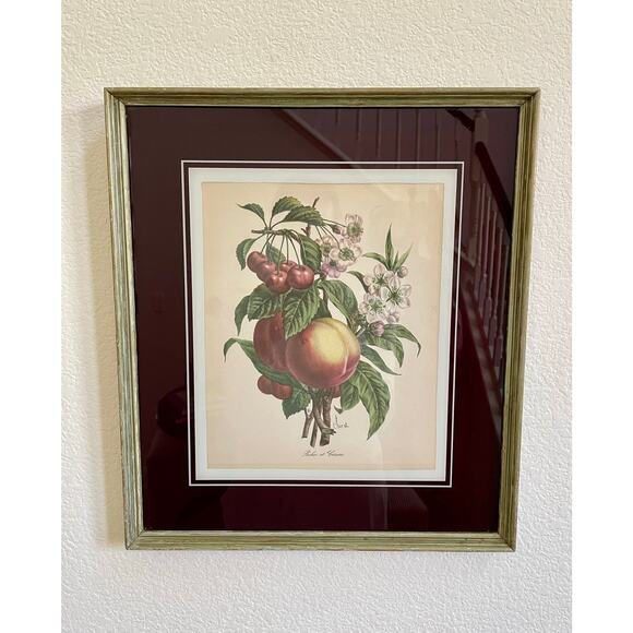 1940s Chirat Botanical Fruit Vintage Framed Print French Country Farmhouse - Picture 1 of 8